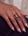 Swan Lake Dream Handmade Press On Nails