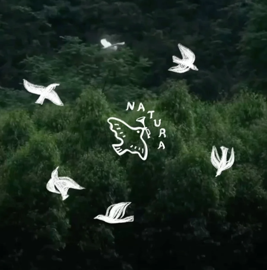 Green nature-themed brand graphic for HEMA-free nail glue with white flying birds, leafy background, and Natura lettering