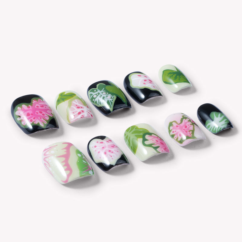 Individual Pink Caladium press-on nails arranged on a white background with black, pink, green, and cream leaf patterns