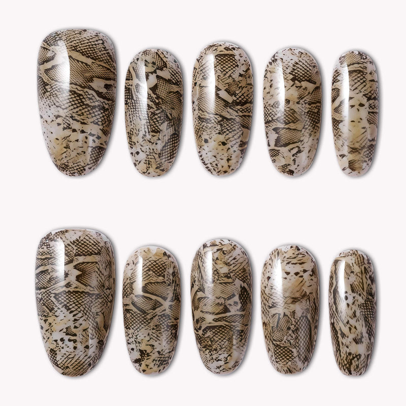 Flat lay of beige and brown snakeprint press-on nails with a glossy finish in assorted almond and coffin shapes