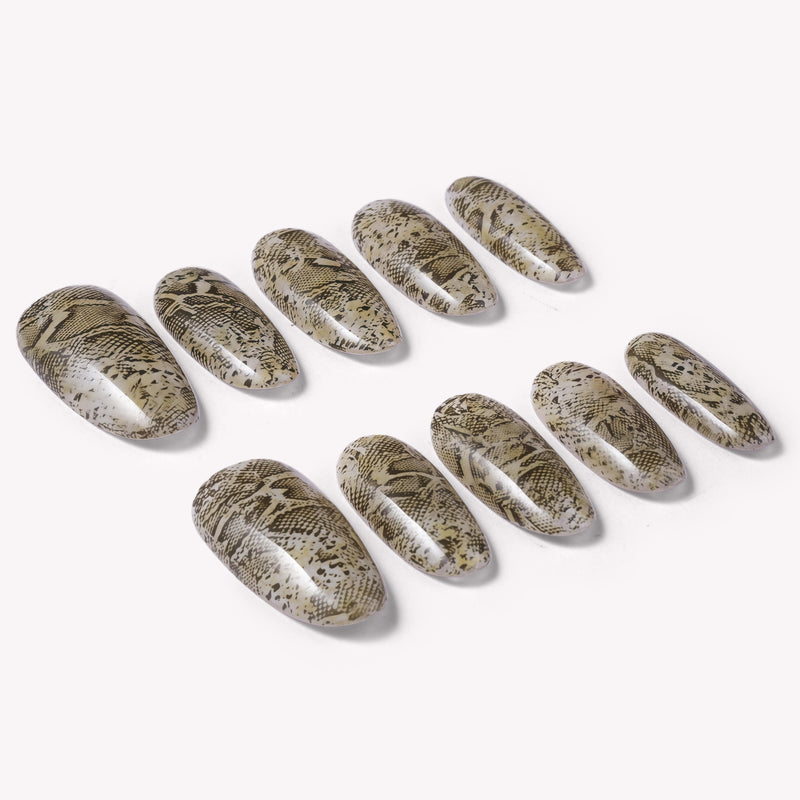 Flat lay of beige and brown snakeprint press-on nail tips arranged on a white background
